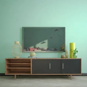 kaitlyn-tv-unit-184395