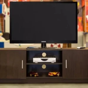 sane-tv-unit-765789