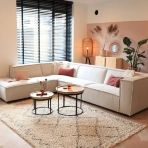 taylor-l-shape-sofa-20015-homzy-hs533
