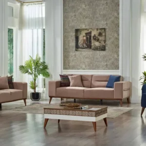 rosa-living-room-set-29441-homzy-hs1294_f73ce7a1-688c-4cc9-8141-501d3aea5f9a